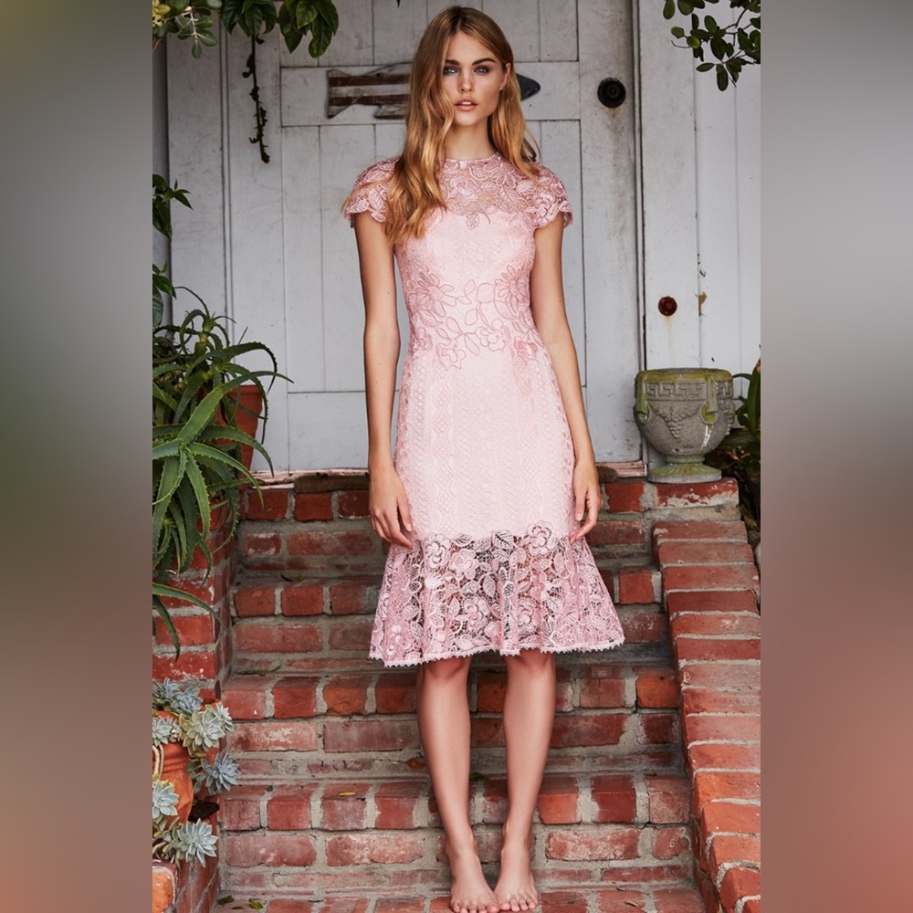 Tadashi Shoji Alice Empowered Lace Dress CLO